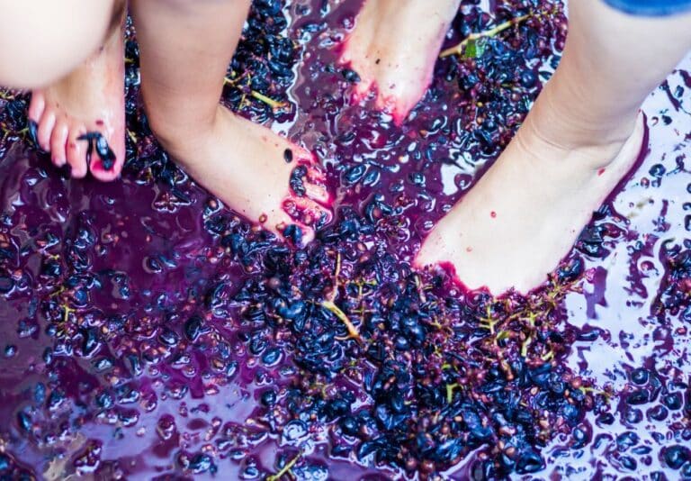 Two people practice Pigéage or grape stomping