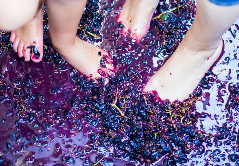 Two people practice Pigéage or grape stomping