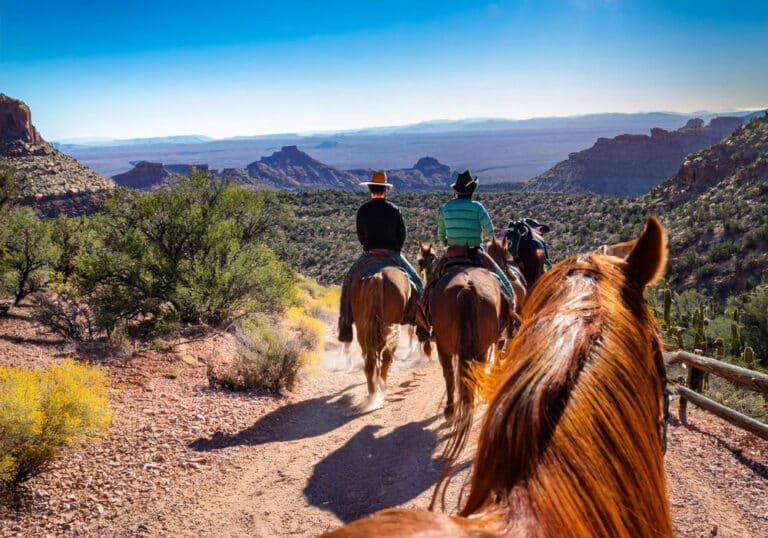 Black Mountains Horseback Ride 5