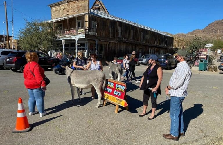 Tourists and a burro in Oatman