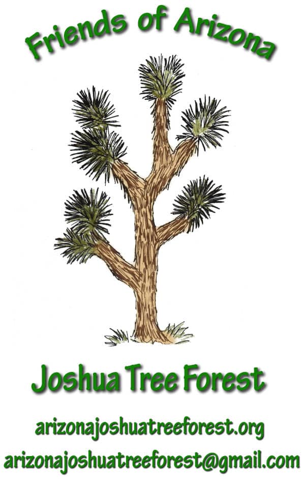 friends of arizona joshua tree forest